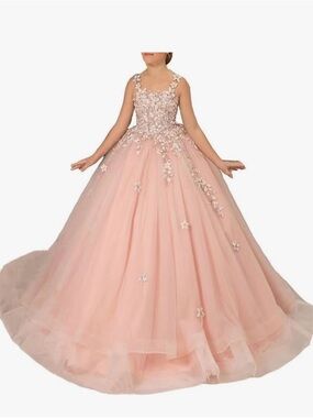 Girls Pink Floral Appliqué Ball Gown Dress